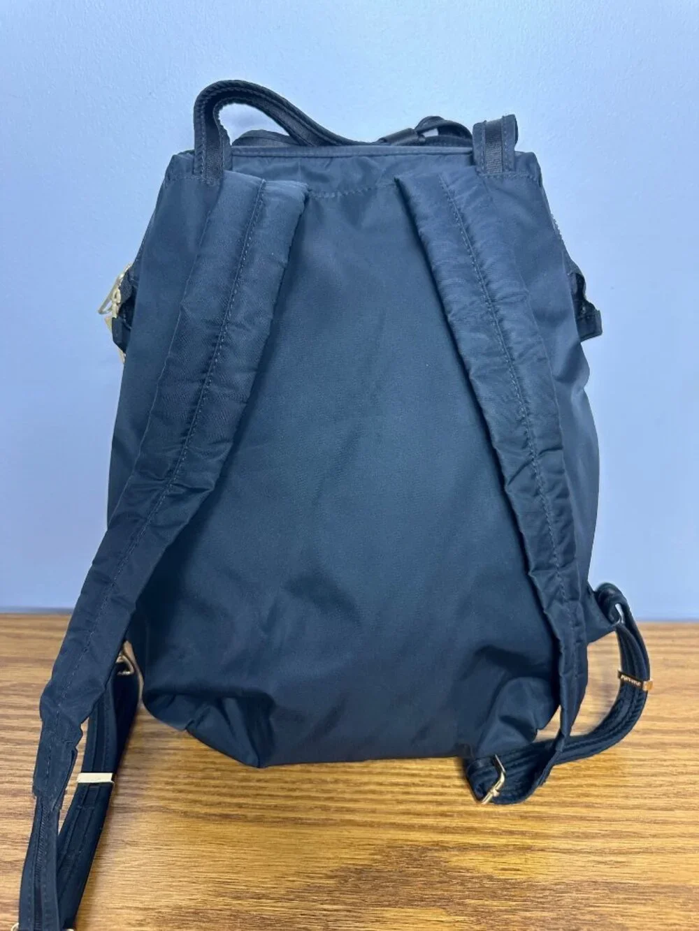 Pacsafe sleek secure